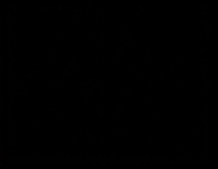 TP-RoTsc1.mp4