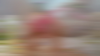 1660039779_easter-bundle-deal-sending-out-3-of-my-easter-videos-t_2.mp4