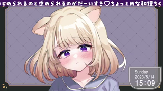 2023年05月14日14時08分39秒 ヴィクトリアマイル中継見るよ【ゲリラ】(5017394).mp4