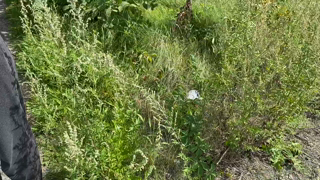 5f5828c814b7c8bd83631_source.mp4