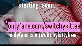 switchykitty_2025-11-11.mp4