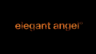 Lesbian Performers Of The Year 2018 (Elegant Angel).mp4