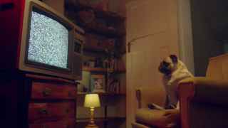 bky0099_260219_Candy_Laya_1080p_low.mp4