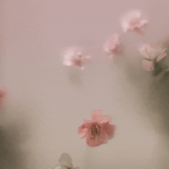 629824920167133184__0.gif