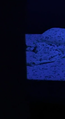 5.mp4