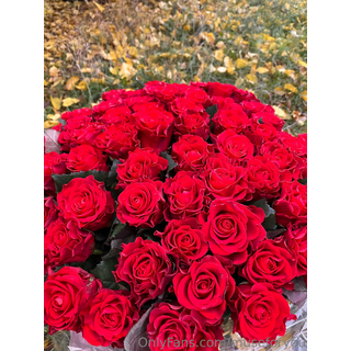 3024x4032_726c8756c5a6b684c1ec0e00f119887a.jpg
