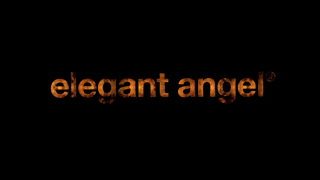 Performers Of The Year 2021 (Elegant Angel).mp4