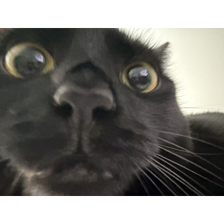 1891998132130513179_1.jpg