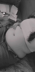 336691829_greedy-piggy_2.mp4