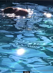 719319354__0.m4v