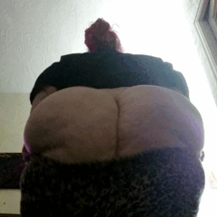1044388__0.gif
