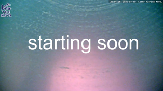 -CallMeGoob-_2026-07-10.mp4