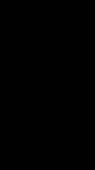 1_5064465469386262212.MOV