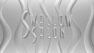 Swallow Salon — Kiley Jay (2017).mp4