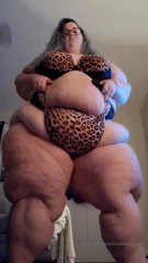8953220__0.mp4