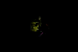 Black Street Hookers 11.mp4