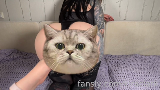 604763472424611840_preview.mp4