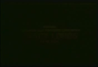 1985 - New Wave Hookers.mpg