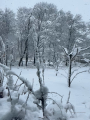 541185816_we-are-having-a-big-snow-storm-and-my-power-went-out-so_5.mp4