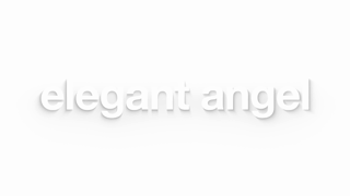 Performers Of The Year 2024 (Elegant Angel).mp4