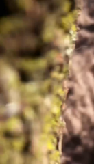 2023-06-27_at_23-09_id_530291808949772288.mp4