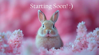 bunnydollstella_2026-06-03.mp4