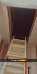 238253123_i-m-going-in-but-will-i-fit-will-i-break-the-ladder-i_0.m4v