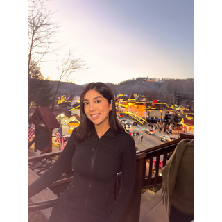 3845880157147515892--dianaelizon_DVfUH30AHs2.jpg