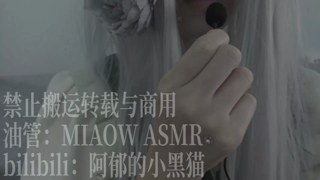 867，天儿口腔音，（领夹麦BOYA） 23min丨阿郁的小黑猫丨爱发电.mp4