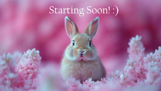 bunnydollstella_2026-05-18_15-56-04_948.mp4