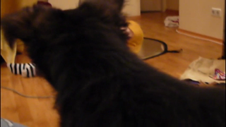 Alice Wonderbang - Alice Wonder Bang - In the Mirror.mp4