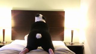 wendymeadowssc2vid11.mp4