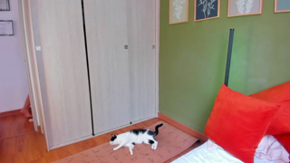 karlye_5_2026-06-10_18-10-23_725.mp4