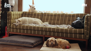 Hyori's Bed & Breakfast S02E01.mp4