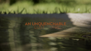 wowgirls.14.02.20.valeria.a.an.unquenchable.lust.1080p.mp4