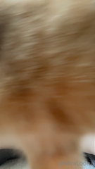 145107956_Teasing you before morning sex 🥰_01_ca7d62cb-cb35-49c8-a0a3-bf9fc2c7a395.m4v