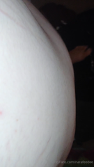 1636037512_september-1st-10th-2019386-lbs-390-lbsa-hefty-start-to-t_0.mp4