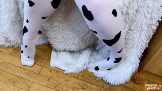 122 Girl in Cow Costume Sucking and Fucking_4k.mp4