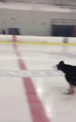 663420381_so-my-old-figure-skating-coach-sent-me-a-bunch-of-old-videos_0.mp4