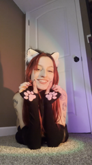 SillySweetAztecant.mp4