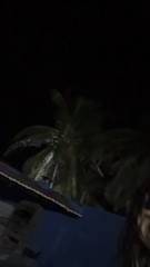 conteudos (195).mp4