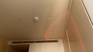 vixenp_2026-06-15.mp4