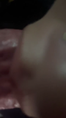 PolishedActiveCaimanlizard.mp4