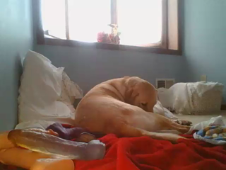 2020.01.13_19.13.28_lilrosiedoll.mp4