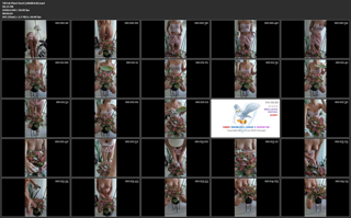 TikTok Plant Hack [e80db4c8].mp4.jpg