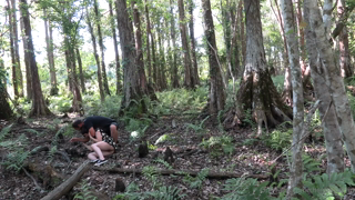 0gouo80u1ypsxi13dmjl7_source (1).mp4