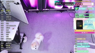 [Dance Cut] duswn8243 - 2025-05-10 02h36m25s.mp4