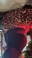 1024567419_content-coming-tomorrow-a-little-clip-for-now-my-dog-gave_0.mp4