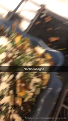 852627553_if-youre-gonna-make-nachos-do-it-right_2.mp4