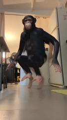 1000236523.mp4